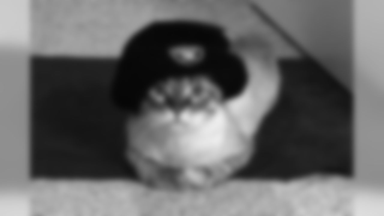 Gizmo