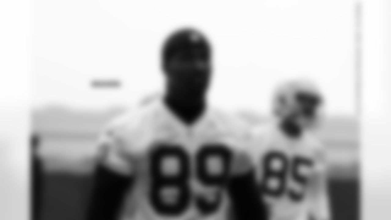 WR James Jones