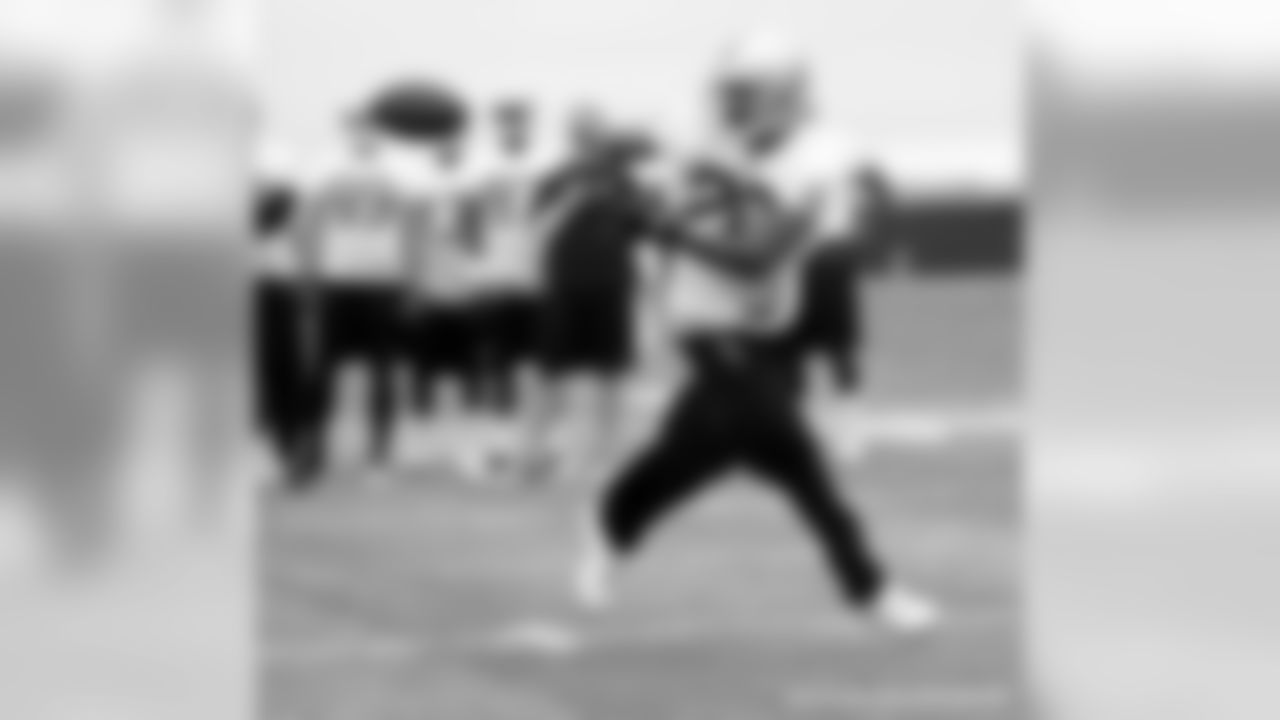 RB Darren McFadden makes the catch on the run.
