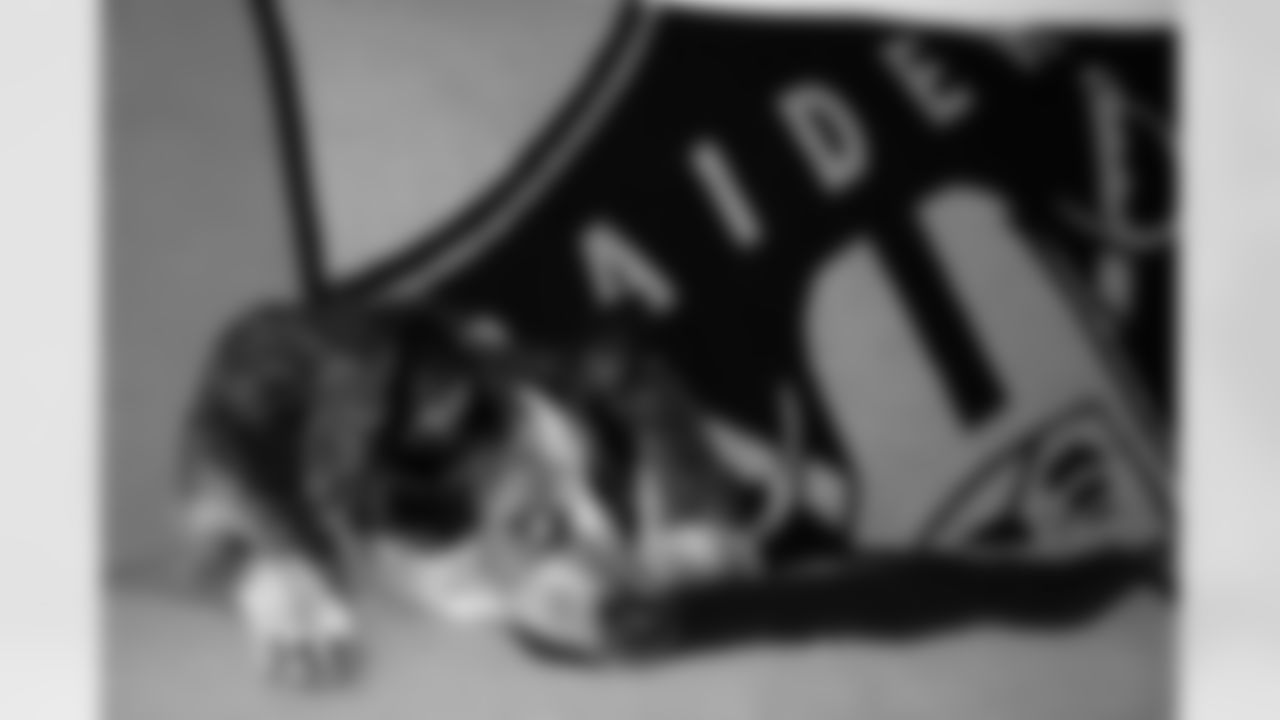 Bandit