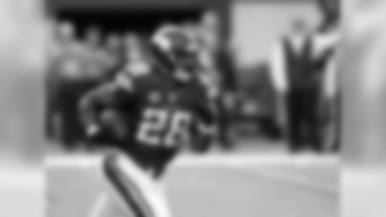 Vikings RB Adirian Peterson