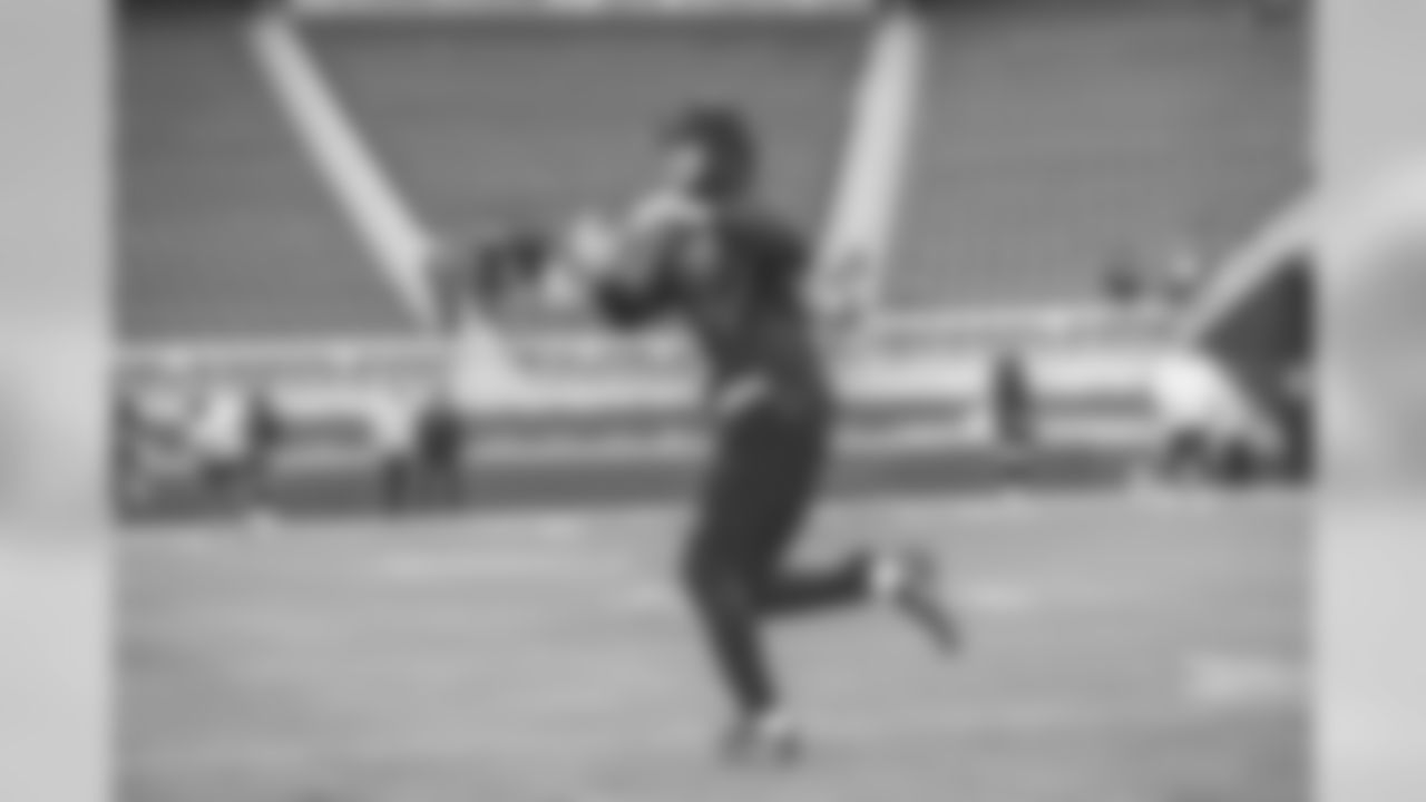 WIL_3023
