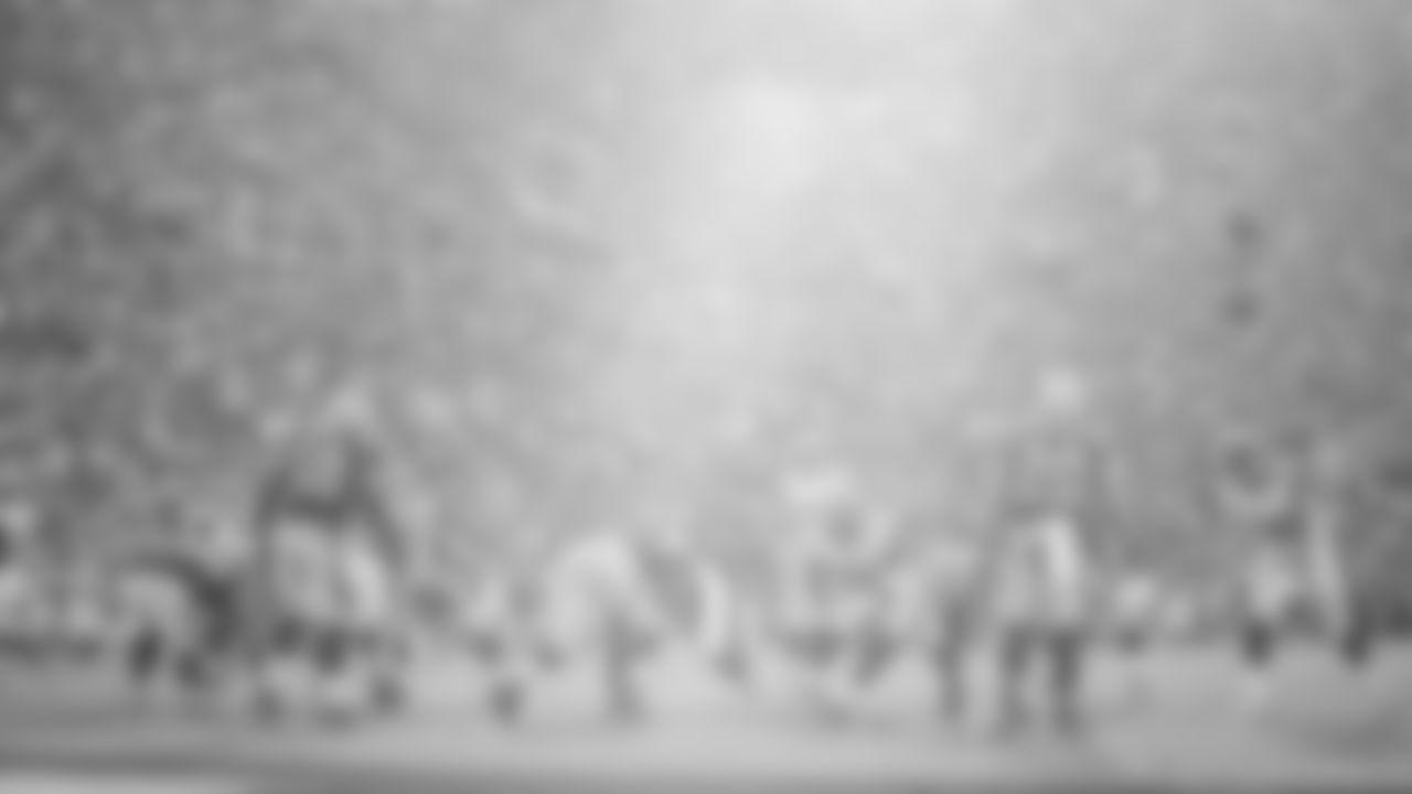 Los Angeles Rams players during a Week 9 NFL football game between the Los Angeles Rams and the Carolina Panthers, Sunday, Nov. 6, 2016, at the Los Angeles Memorial Coliseum in Los Angeles. (Rams/Hiro Ueno)