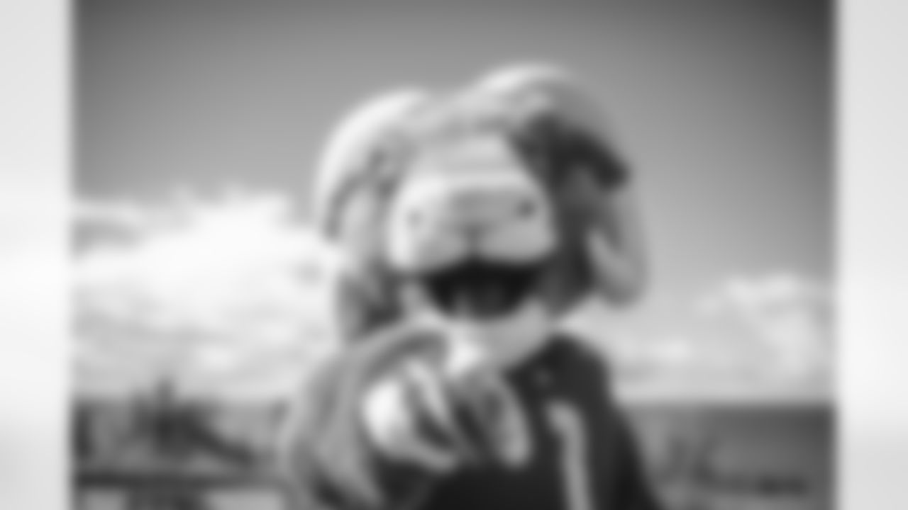 E_TOWL1589
