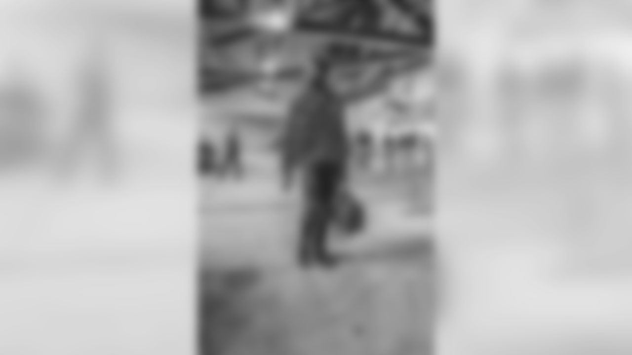 WIL_3731