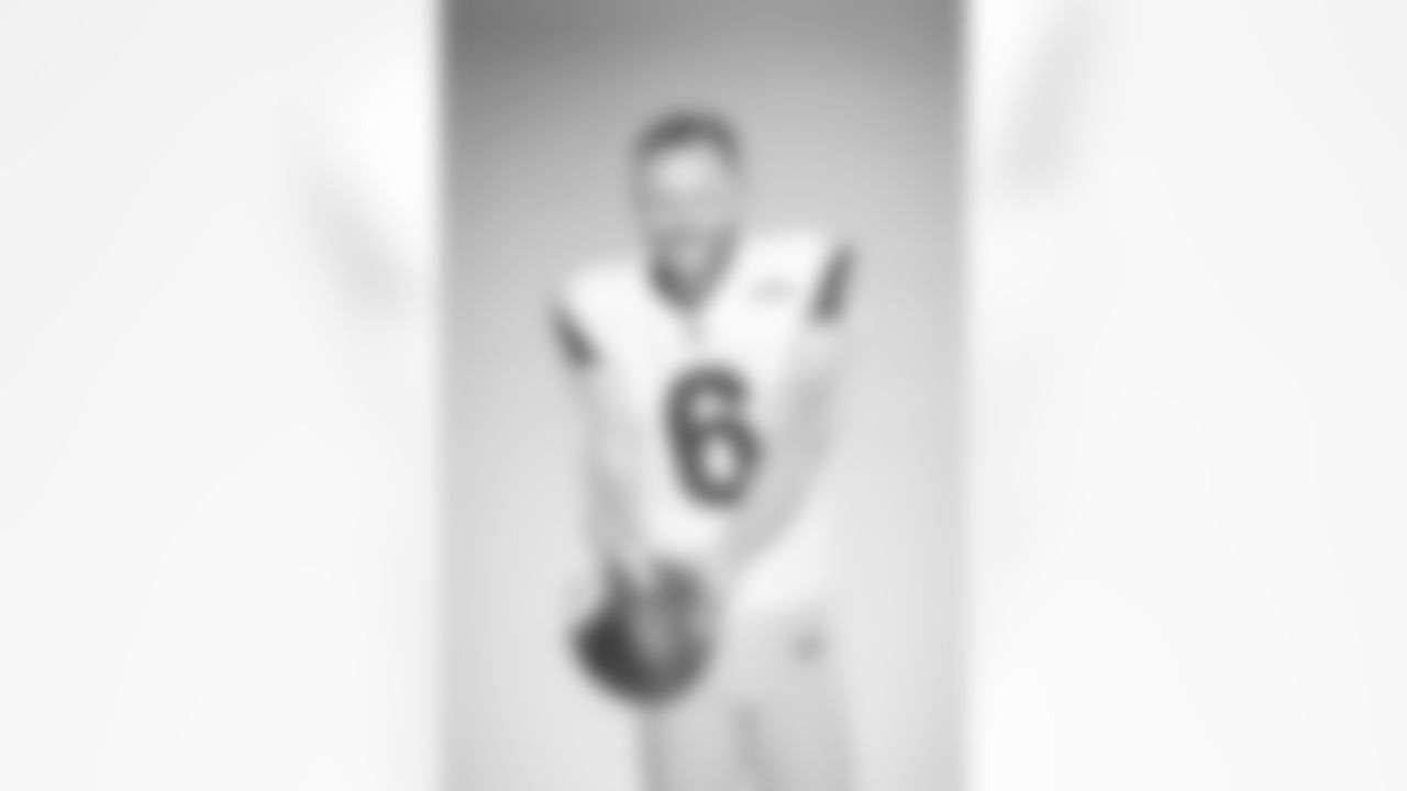 Hekker_Yellow_1