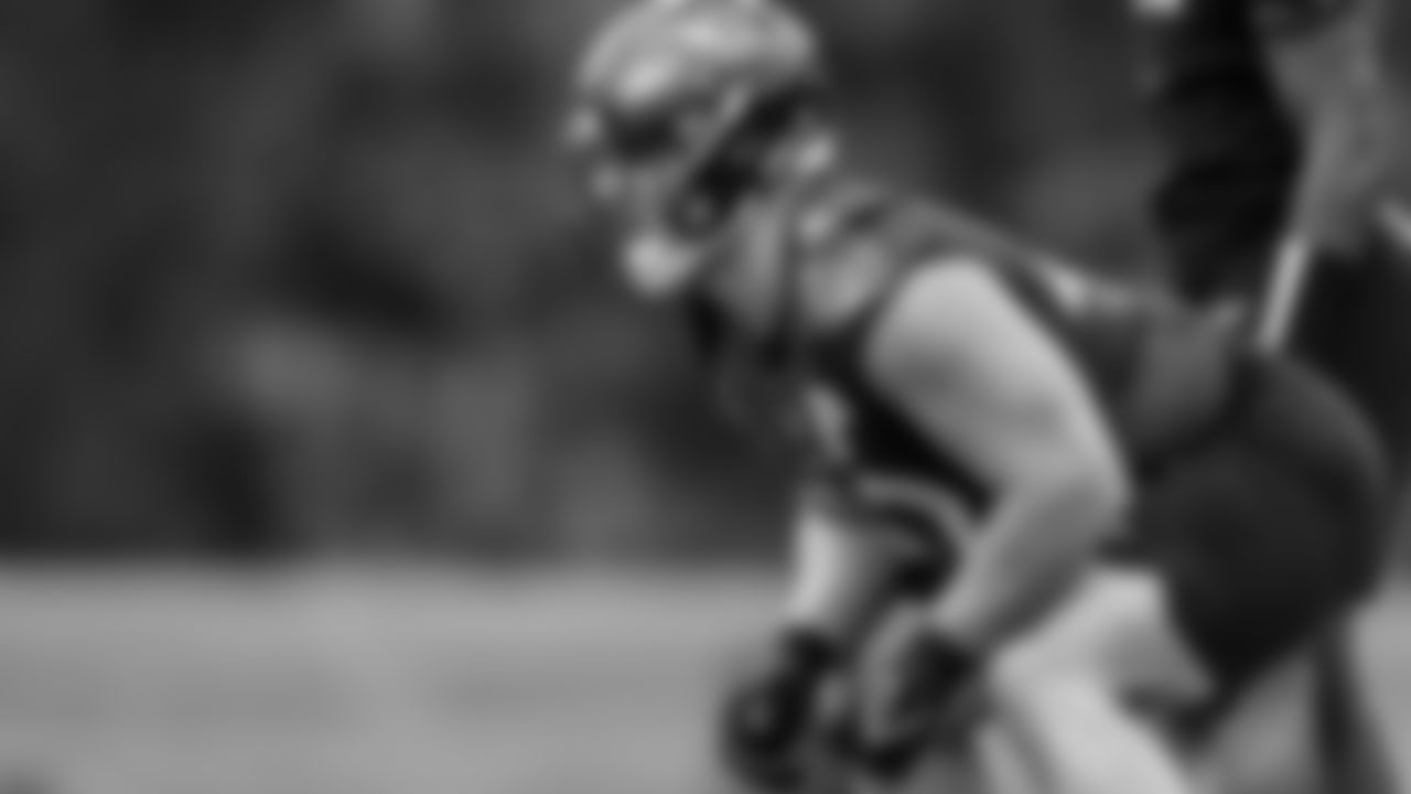 FB/DL Patrick Ricard