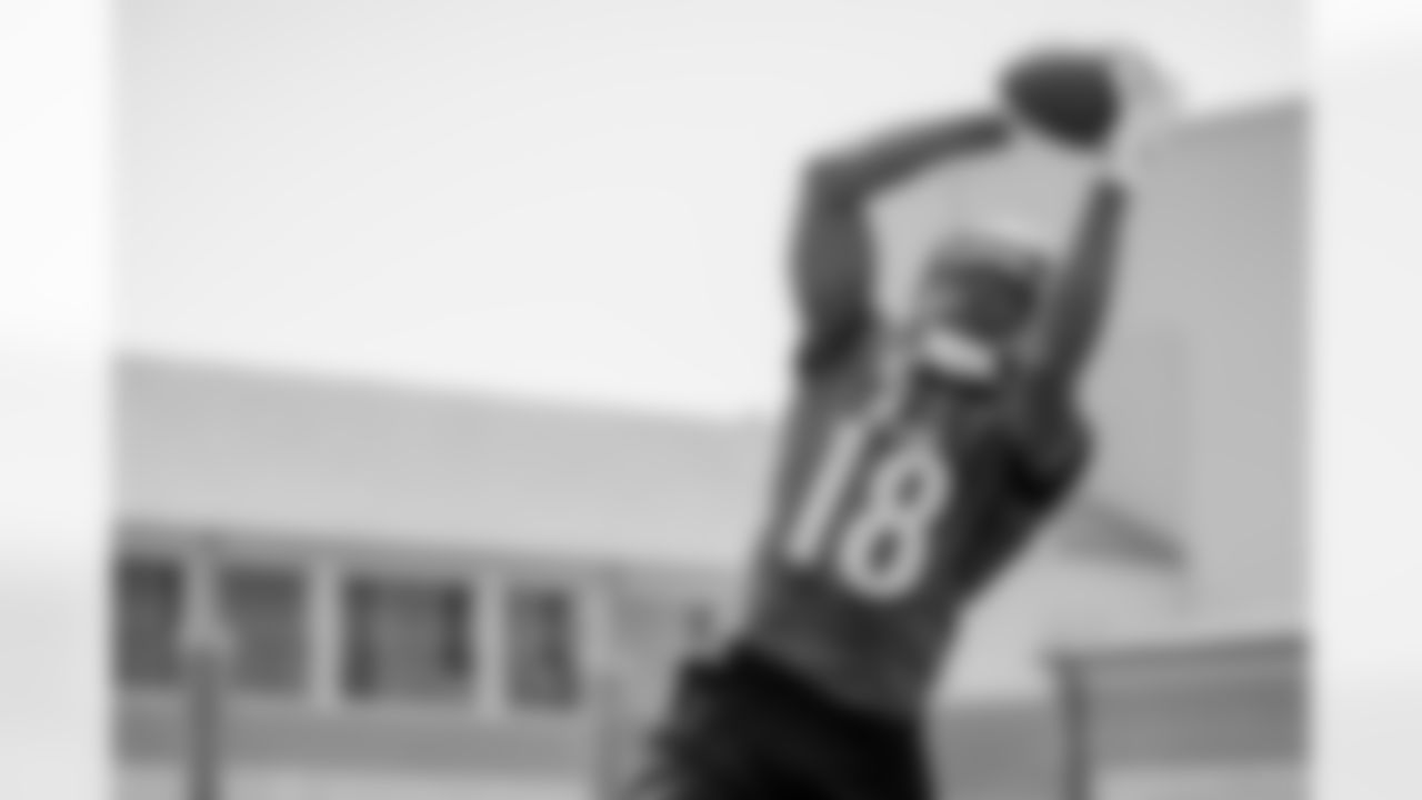 WR Breshad Perriman