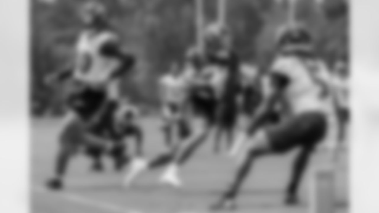 RB Mike Davis