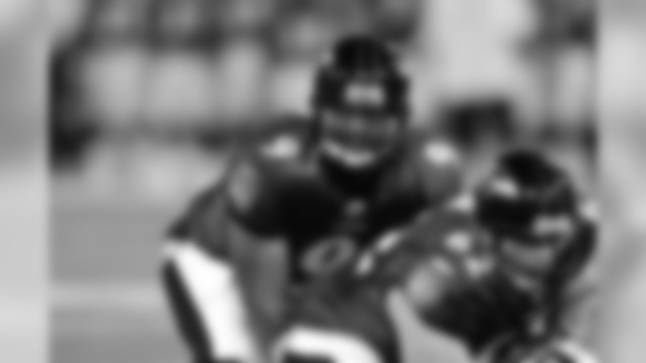 Steve McNair (2006-2007)