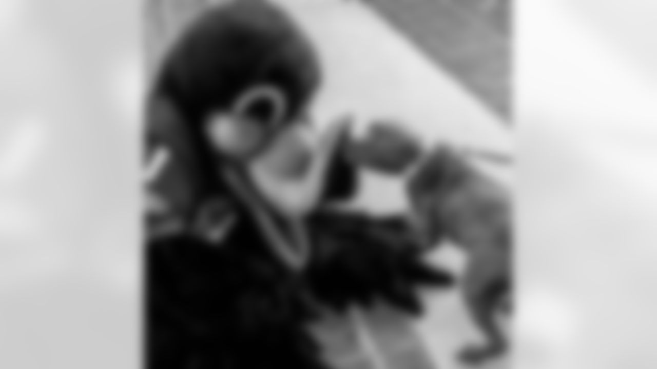 ravens [Baltimore Ravens]: #RavensFlock