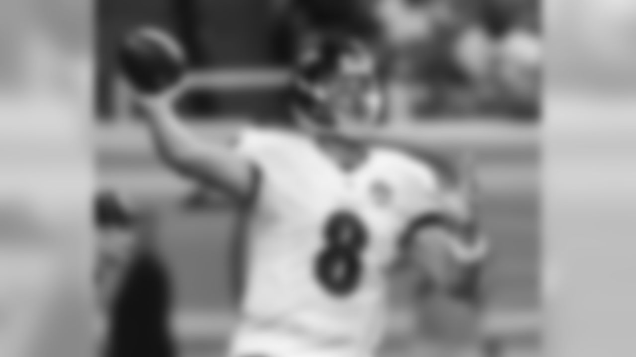 QB Matt Schaub (Unrestricted Free Agent)
