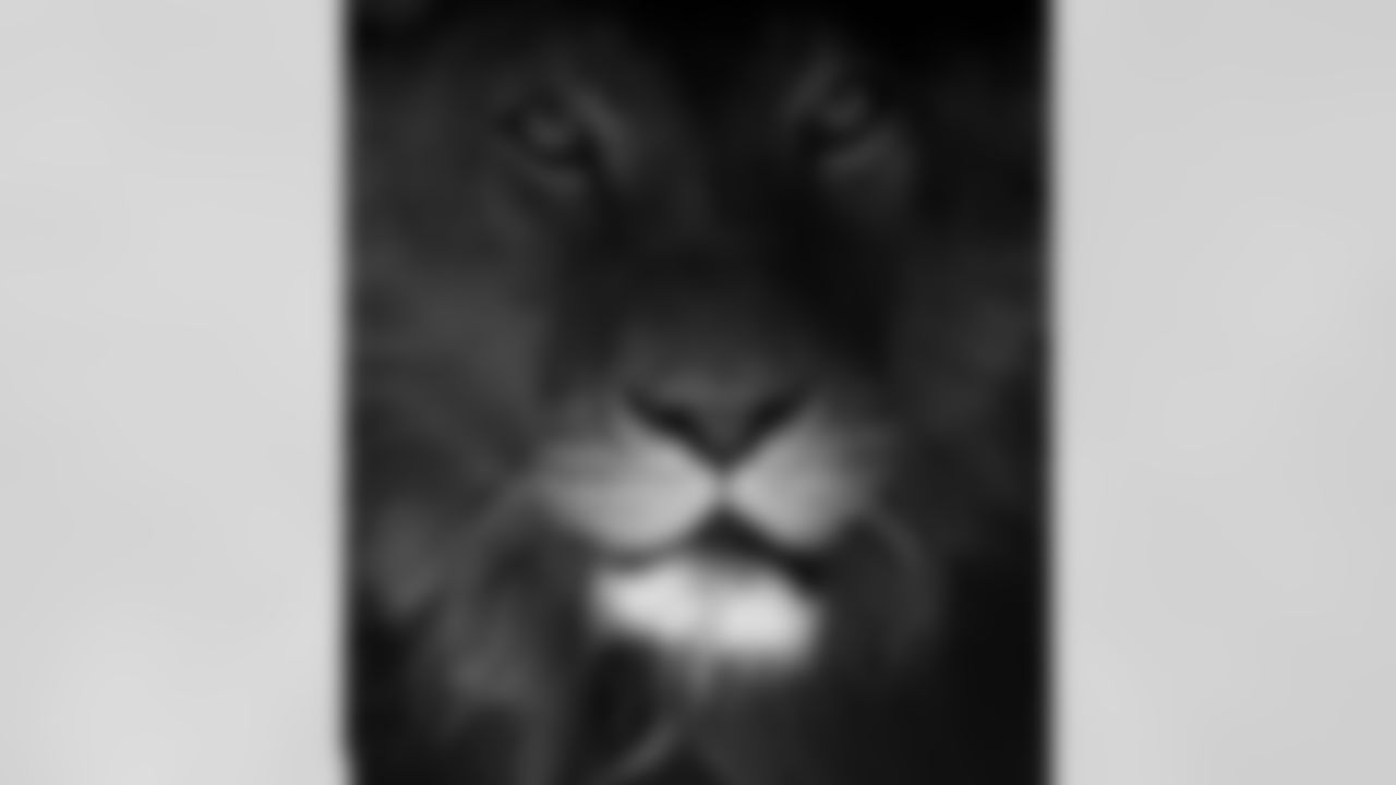 aceandsmitty [Steve Smith Sr.]: Training camp starts for many young but most importantly for this old Kat. 16yrs has gone so quickly understand I read all the he's too old torn Achilles is one of the hardest and for older players almost impossible... This picture represents exactly how I feel about those statements. Just Get close enough to see if this old lion won't RIP you to shredz! I'm not in the business to makes friends let's start the IDGF tour. Exodus 15:3 King James version... #stevesmithsr #playlikearaven #Ravennation #agent89