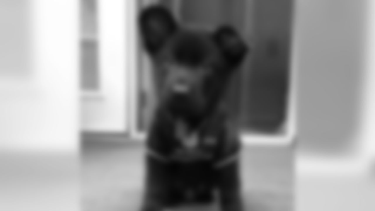 ravens[Baltimore Ravens]: Look at the earrrrs. #NationalDogDay #RavensNation #RavensPets #PlayLikeARaven