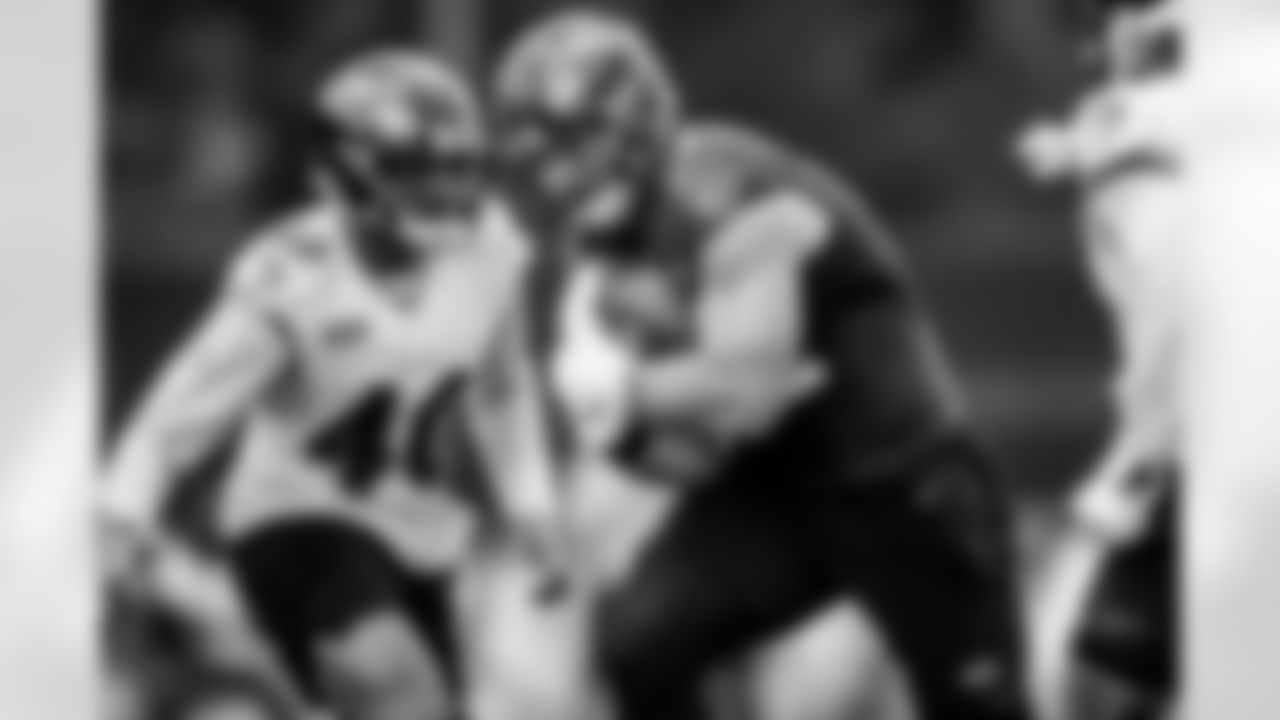 FB/DL Patrick Ricard