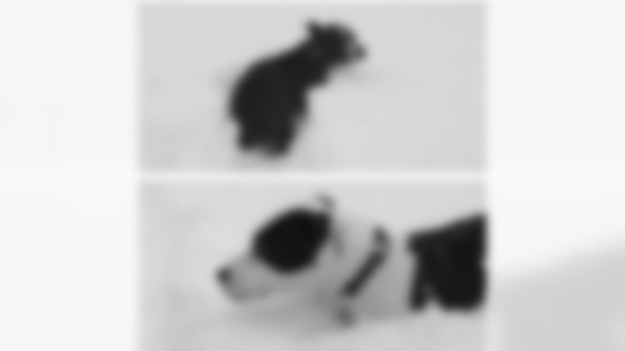 torreysmithwr [Torrey Smith]: They like snow but not this much....refuse to use the bathroom