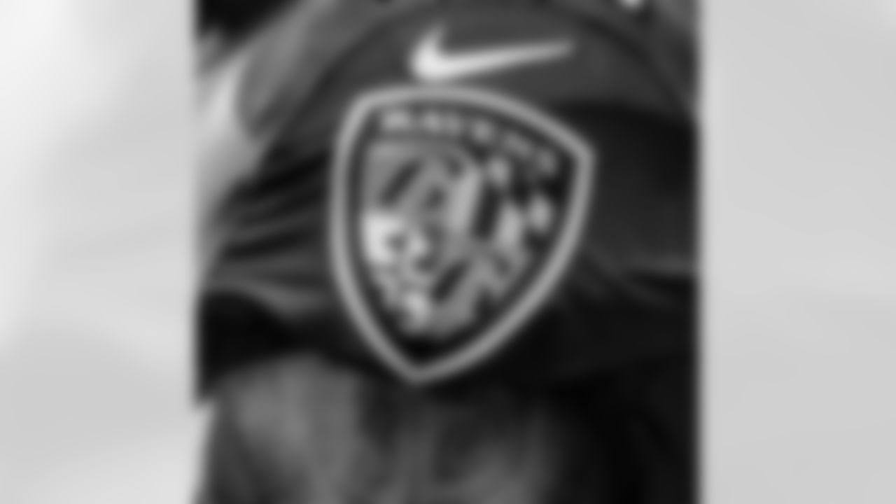 ravens [Baltimore Ravens]: Crabcakes and football. That's what Maryland does. Happy Maryland Day, #RavensFlock!