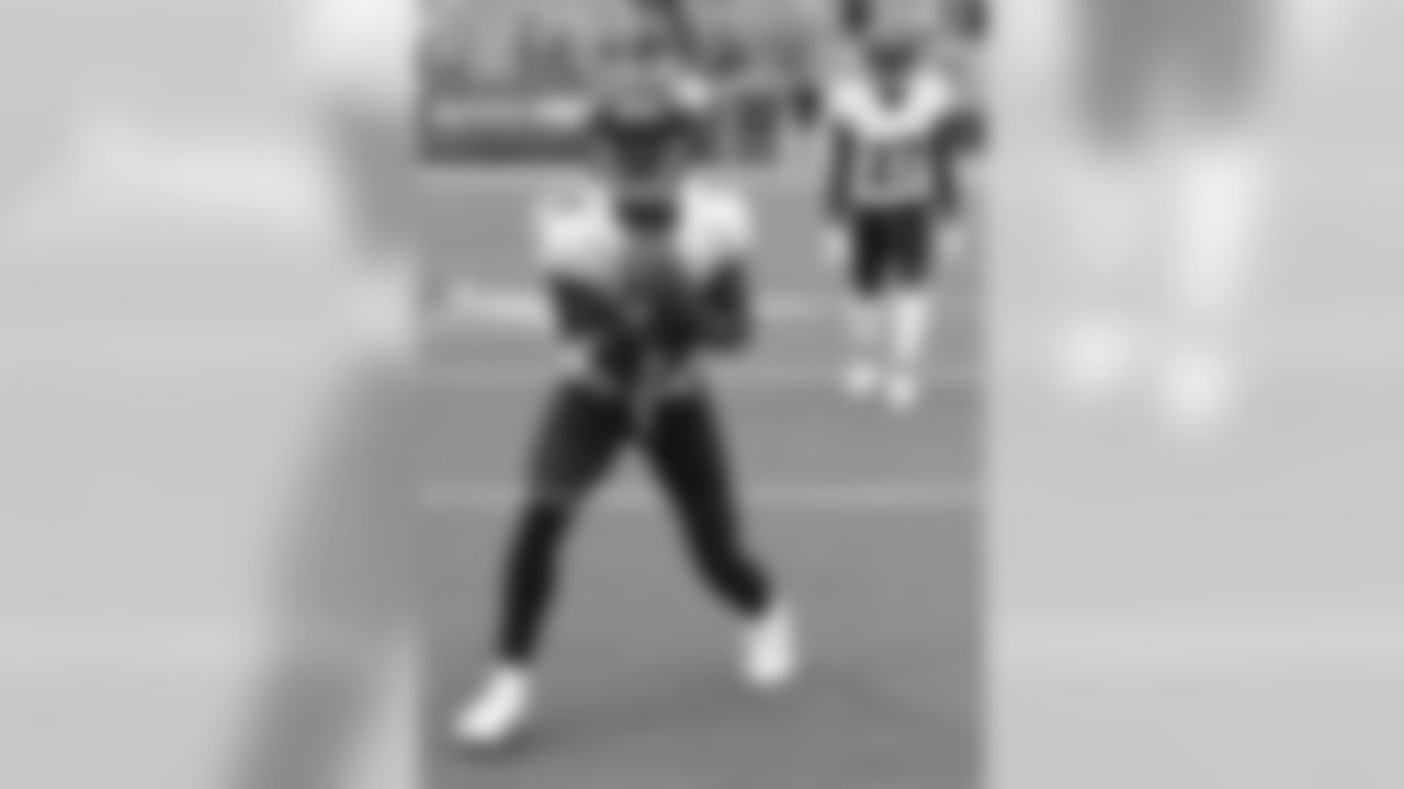 WR Marquise "Hollywood" Brown