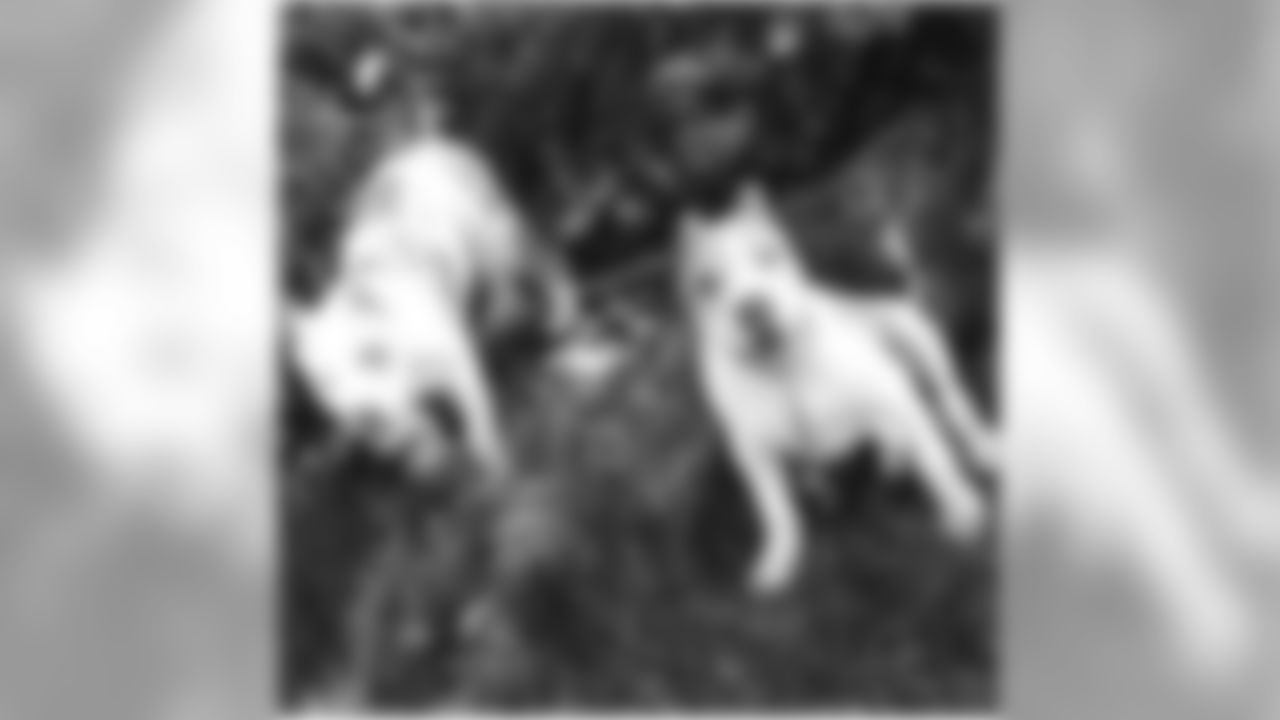 savage_soldado [Tim Williams] My young dogs, Foxy and MoneyBagz #bullyxl #pitbullxl #bullyworld love my Dawgs