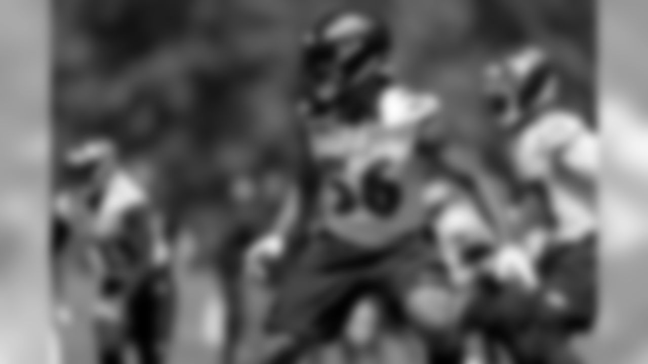 OLB Tim Williams