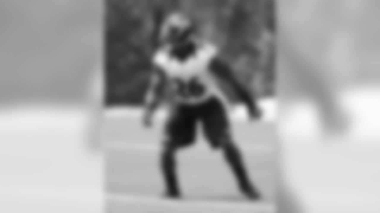 Expectations are high for the first-round pick. Elam joins the Ravens after an All-American college career, and now he's challenging for a starting spot. Elam was a dynamic talent at Florida, and now he's looking to bring that big-play ability to the NFL game. Elam drew positive reviews for his performance in offseason practices, and he could be a household name by the end of the season if he's able to take over for Reed in the secondary.