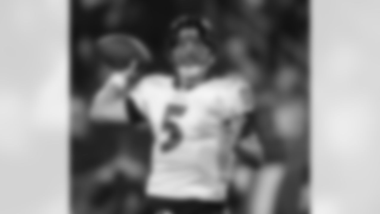 The Baltimore Ravens beat the Tennessee Titans 13-10 in the divisional round of the playoffs in Nashville, TN in January 2009.