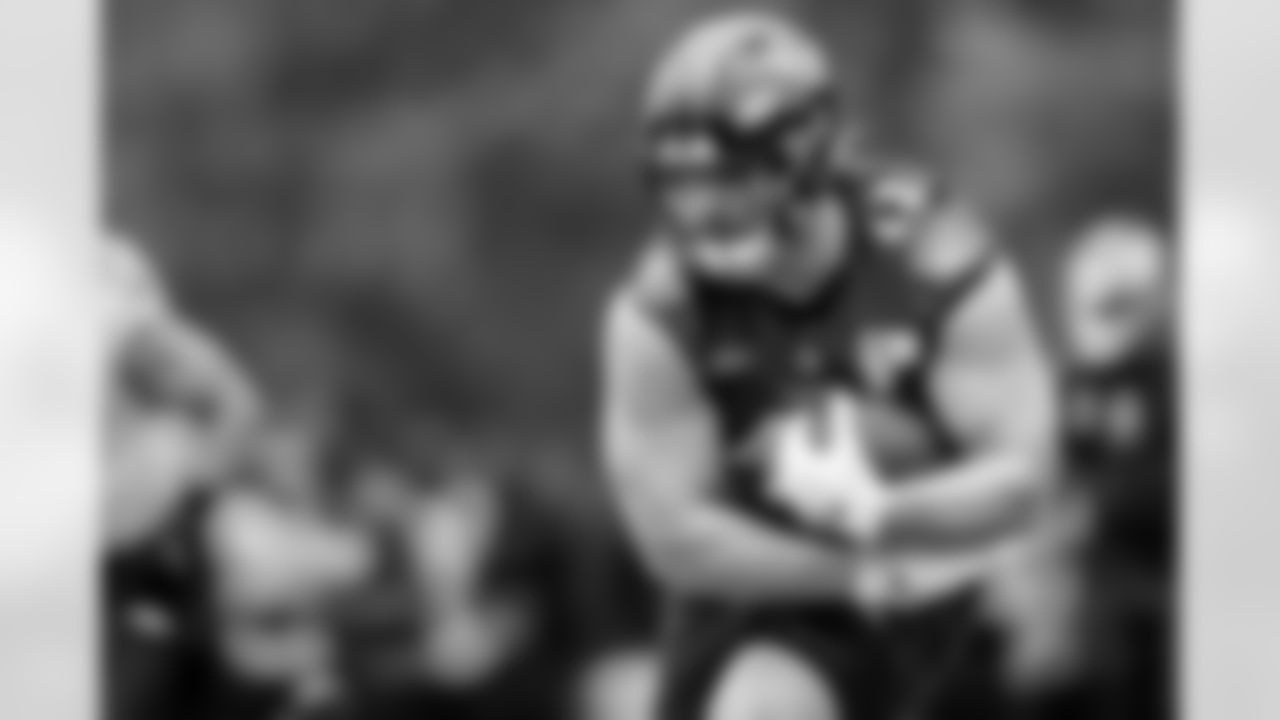 FB/DL Patrick Ricard
