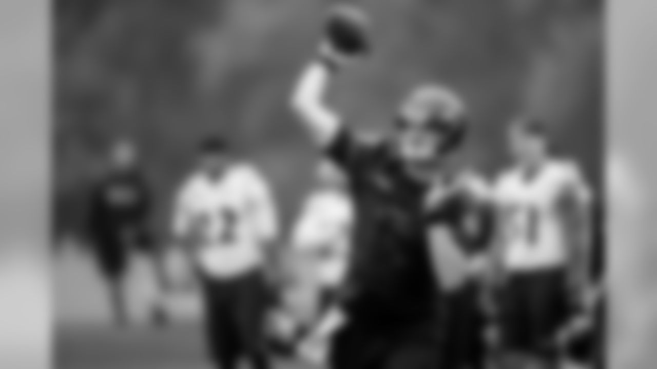 QB Ryan Mallett