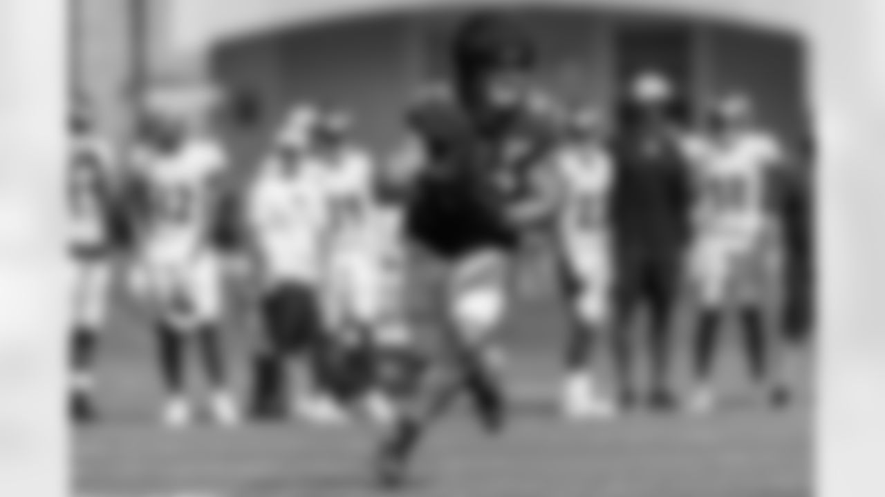 FB/DL Patrick Ricard