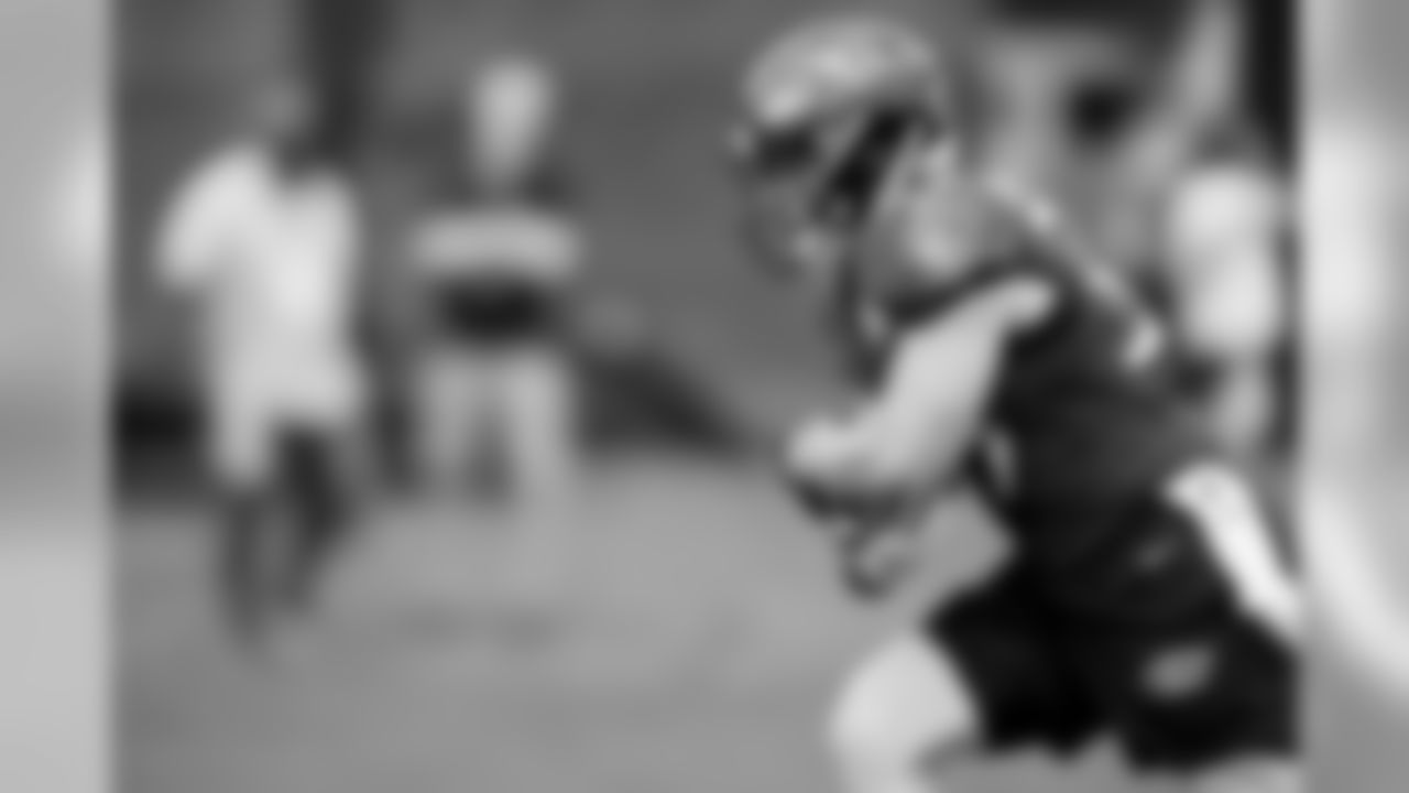 RB Danny Woodhead