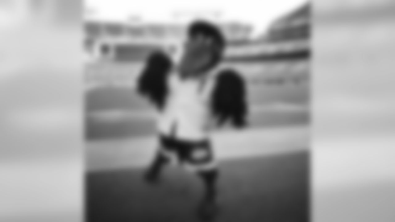 ravens[Baltimore Ravens]:Happy #OpeningDay! Let's Go @baltimoreorioles! #OperationOrange #Birdland #Poe #FlyTogether