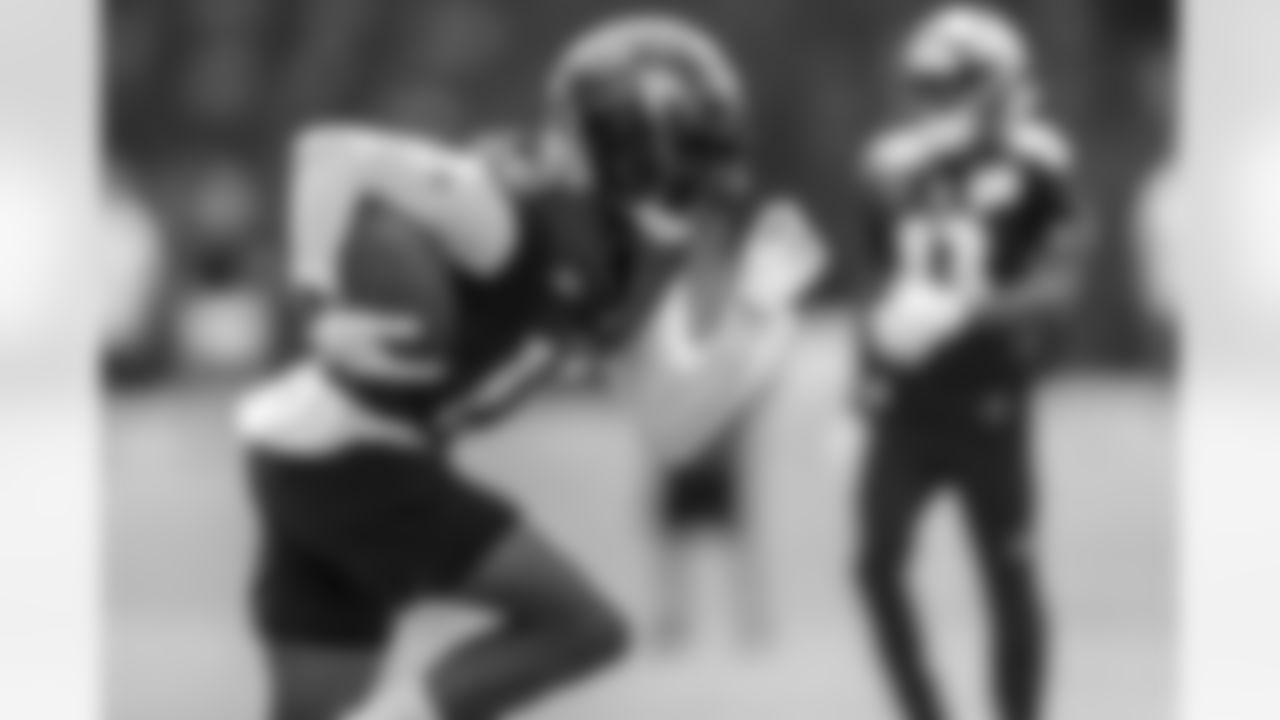WR Nelson Agholor