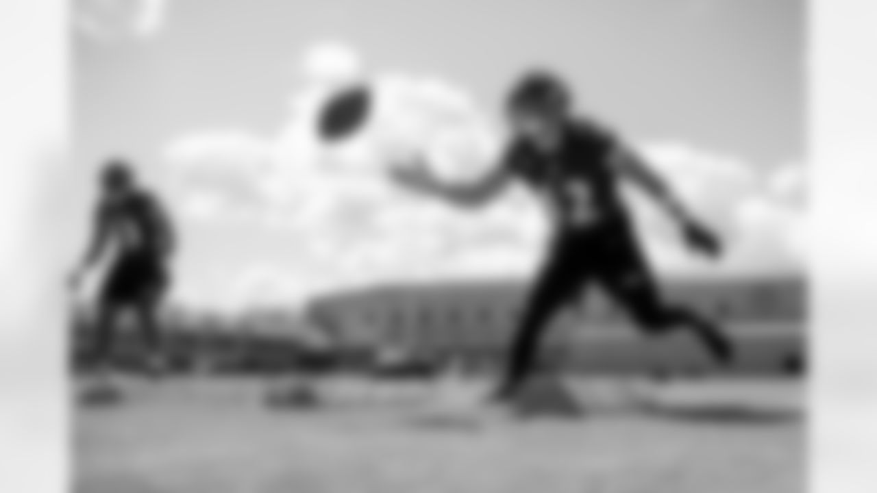 FB/DL Patrick Ricard