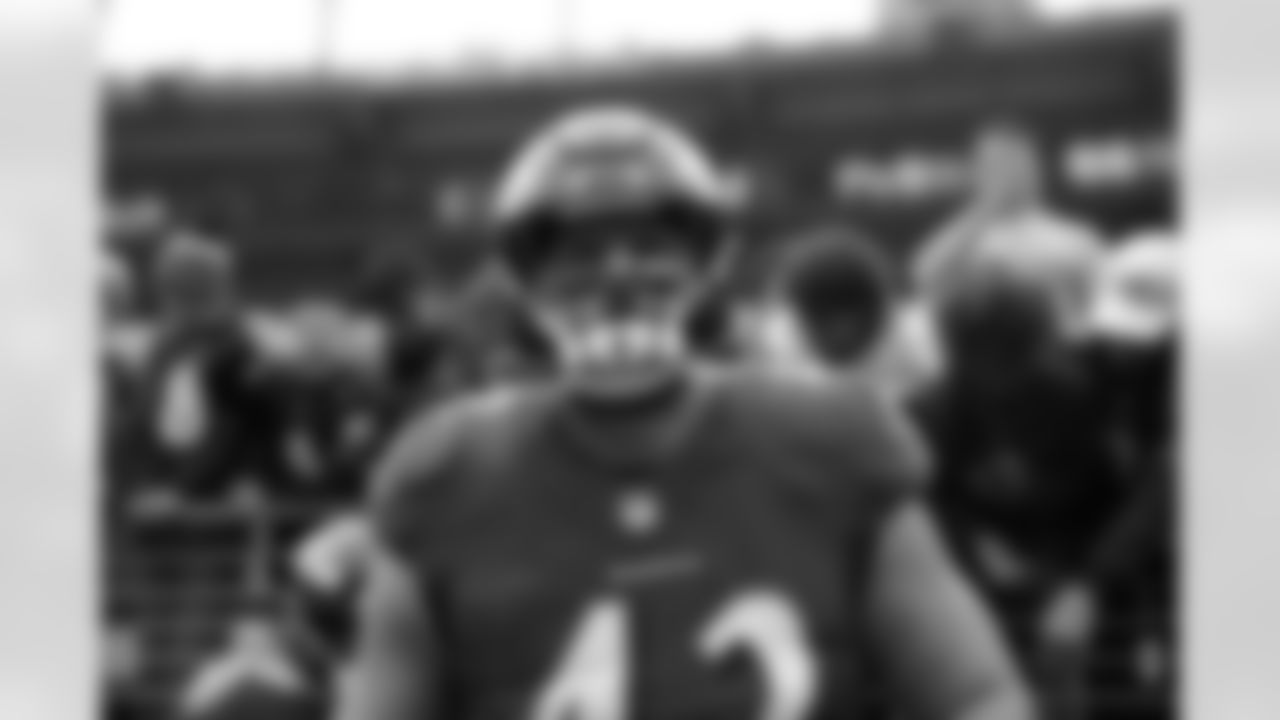 FB/DL Patrick Ricard