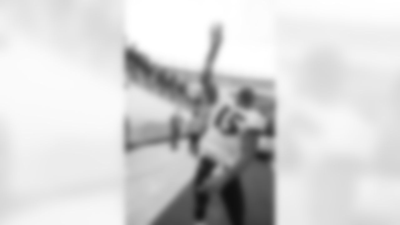 The Ravens celebrate their their historic 33-14 wild card win in New England. Head Coach John Harbaugh high-fived Ravens fans around the edge of the stadium before joining his team in the locker room.