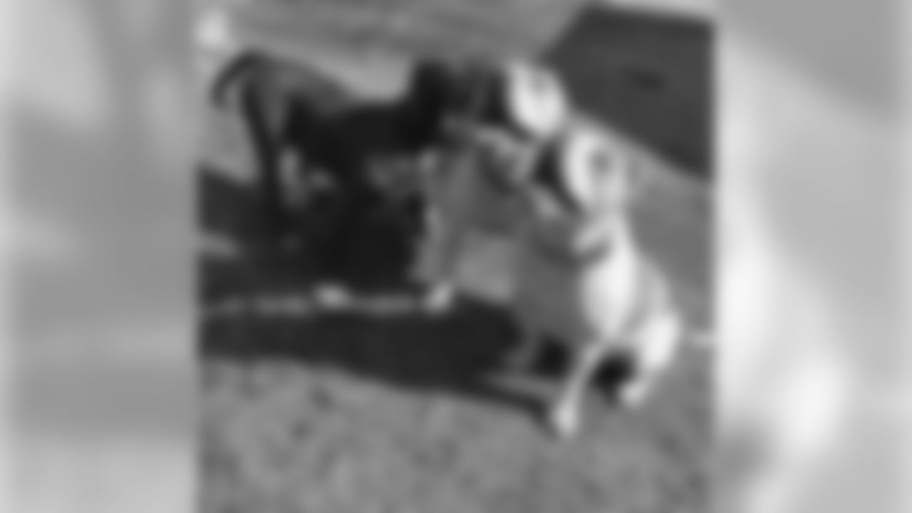 savage_soldado [Tim Williams] I love them Men's Best friend For realSoldado Kennels . When my head down. They know how to cheer me up. I love when they smile at me and lick on my face when they sense something wrong.