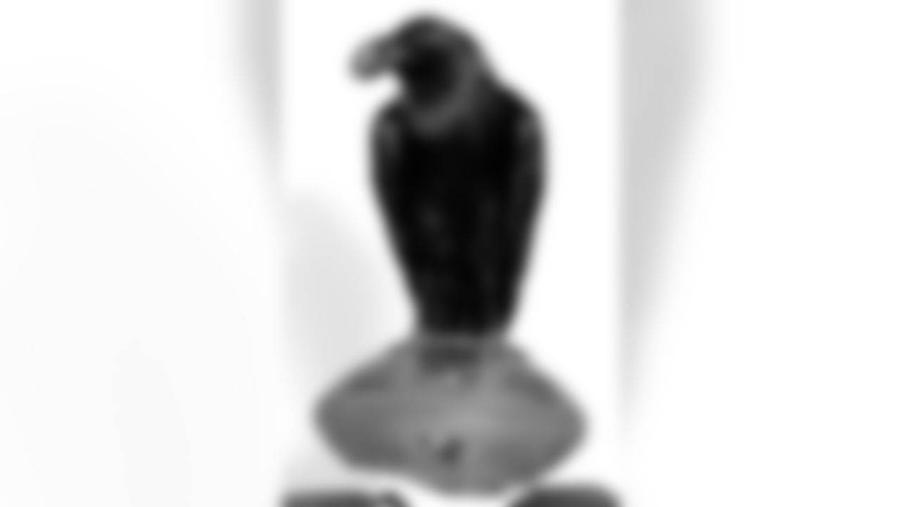 A live raven came to visit the Owings Mills Practice Facility for a photo shoot.