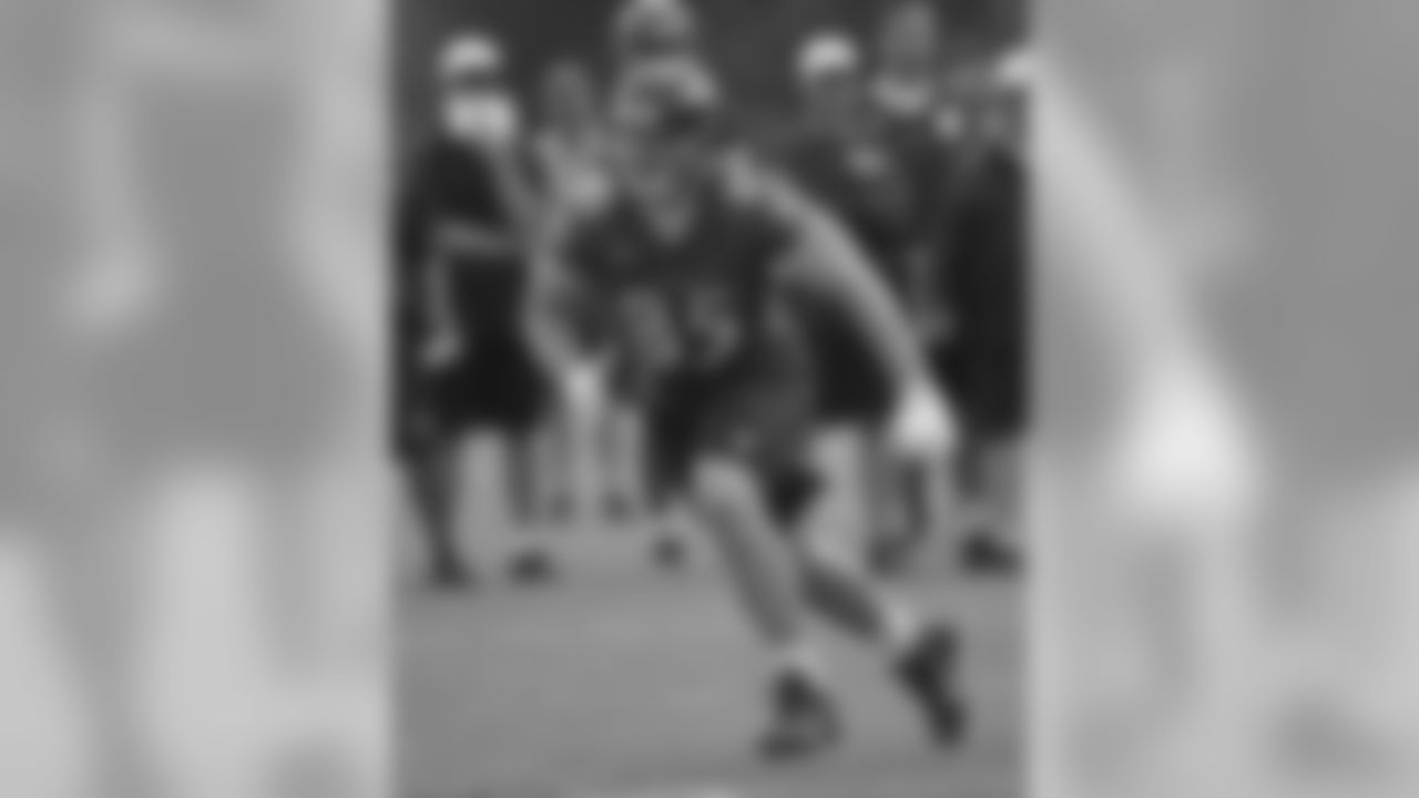 TE Allen Reisner, #85 (Injured Reserve)