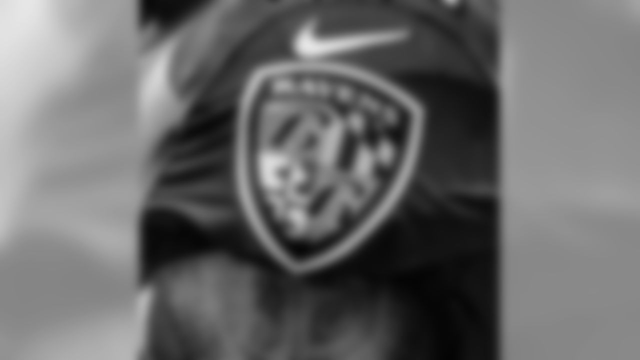 Ravens [Baltimore Ravens]: Happy #NationalPuppyDay! Show us your pups rocking purple using #RavensPets and we'll feature some of our favorites. #RavensFlock