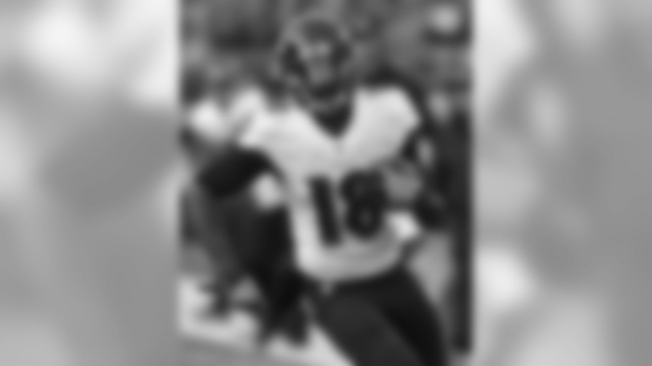 Perriman didn't make as big a leap as some were hoping, but after a rookie season lost to a knee injury, his sophomore campaign was a definite improvement. Perriman showed flashes of the top-notch wide receiver he can be, catching 33 passes for 499 yards and three touchdowns. His speed was clearly evident on a couple of those touchdowns as he pulled away from defensive backs.