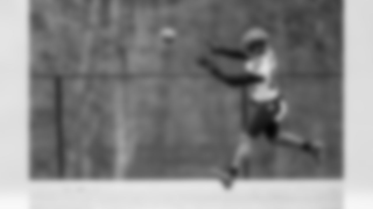 WR Dez Bryant