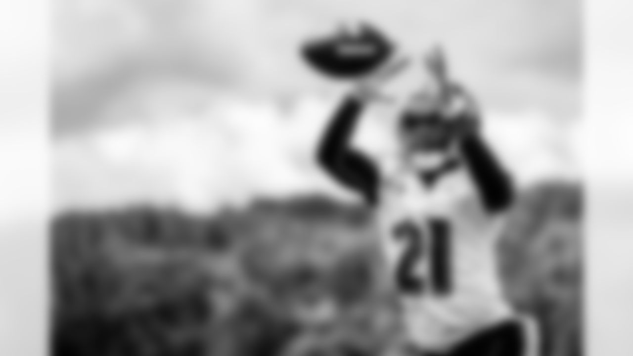 DB Lardarius Webb