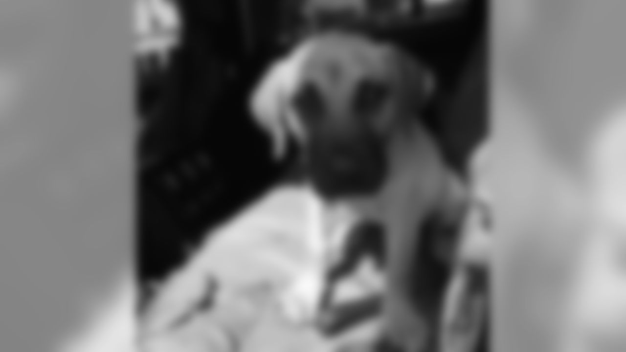 elvis.dumervil [Elvis Dumervil]: Baby Doom #NationalDogDay #RavensFlock #RavensPets