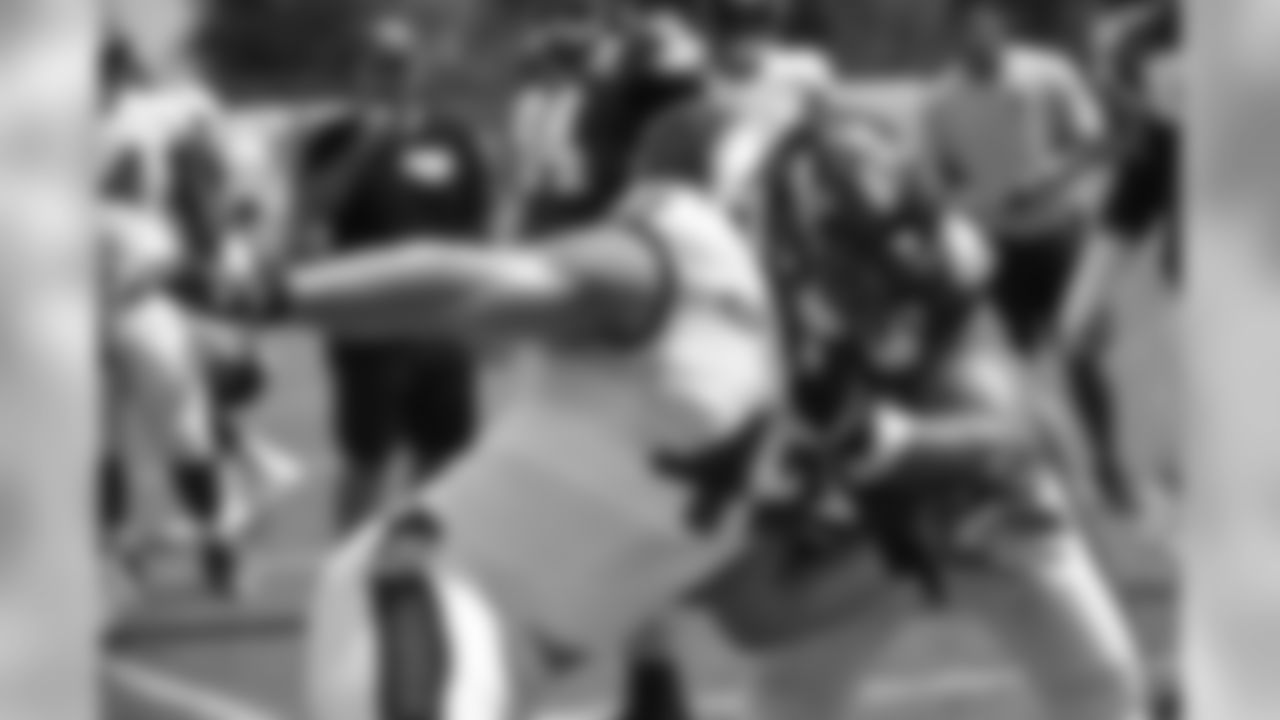 FB/DL Patrick Ricard