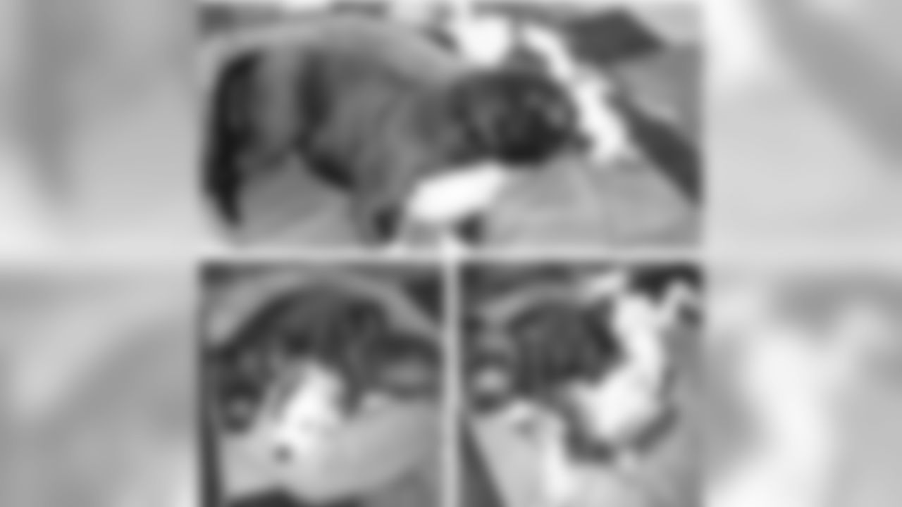 bp_30 [Bernard Pierce]: My pups tryna share the same bed lol looks like we all tired