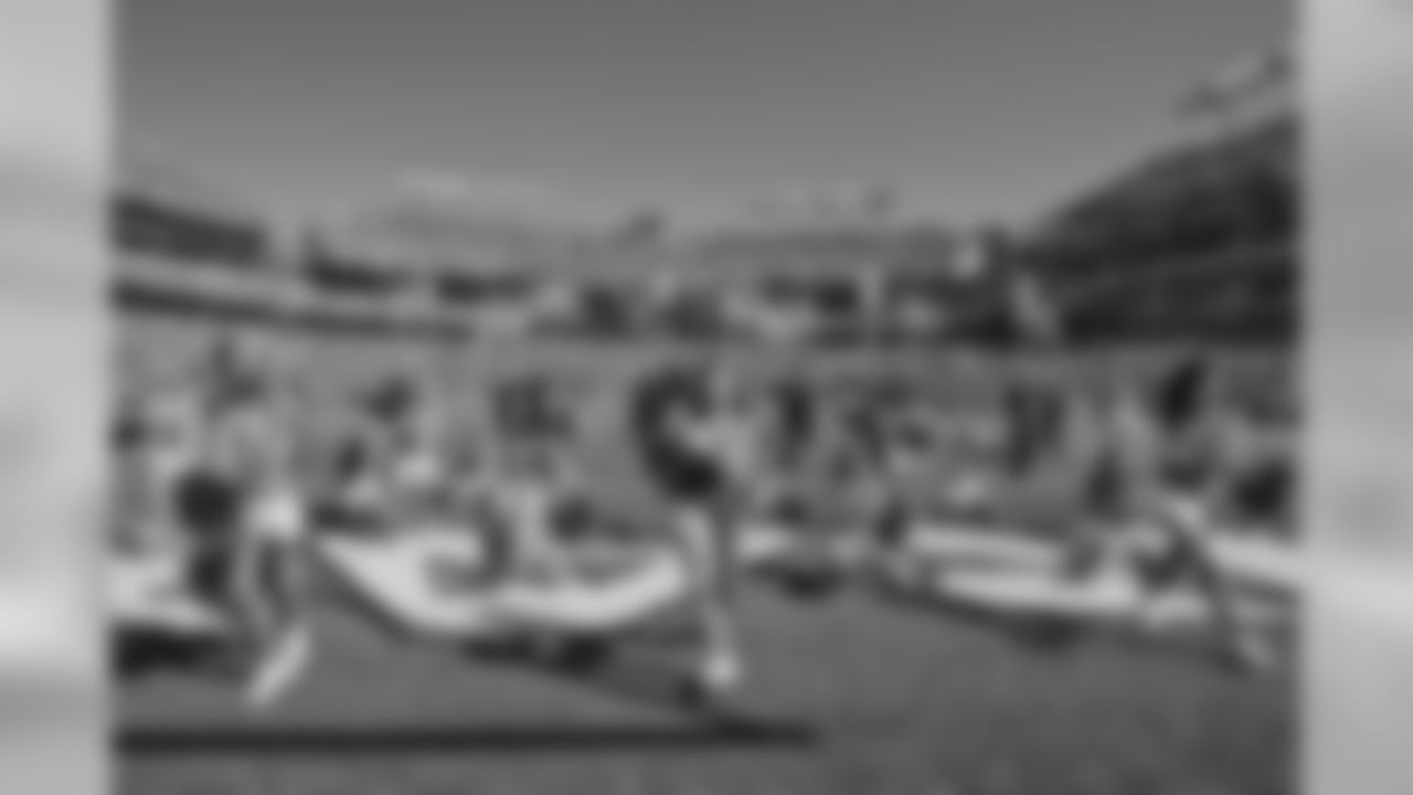 The Baltimore Ravens Cheerleading Team entertains the fans at M&T Bank Stadium throughout the 2008 NFL season.