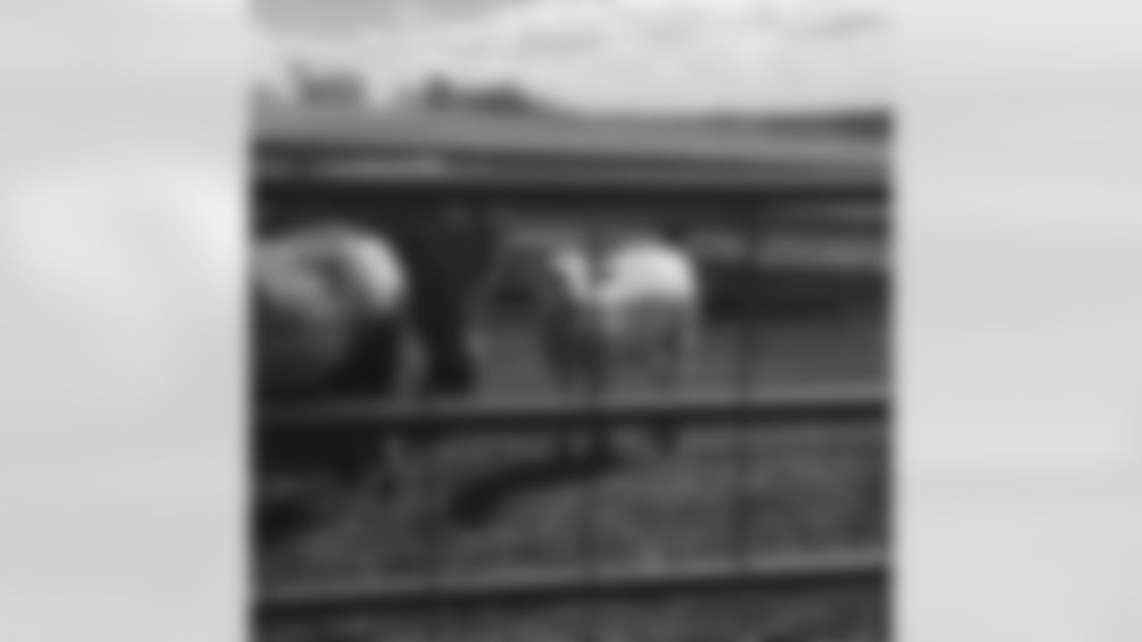 brennenbeyer[Brennen Beyer]: These guys weren't too baaaaahhhd #waitforit