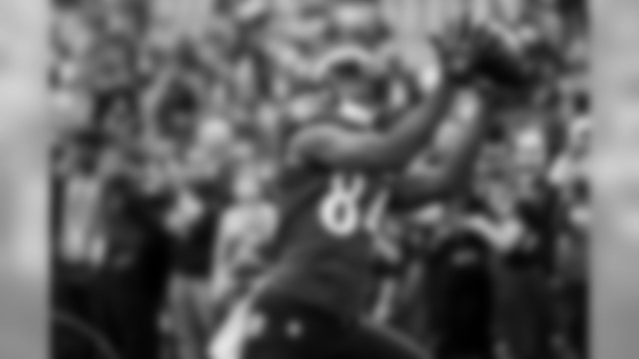 Chris Matthews
2015 stats: 9 receptions, 97 yards, 1 touchdown
The former Seahawks Super Bowl standout was brought to Baltimore late last season after injuries took a toll and promoted to the 53-man roster in mid-December, just in time to score his lone touchdown against the Steelers. The 6-foot-5 pass catcher is the Ravens' most accomplished big-bodied wideout remaining, as Darren Waller has moved to tight end and Marlon Brown was released.