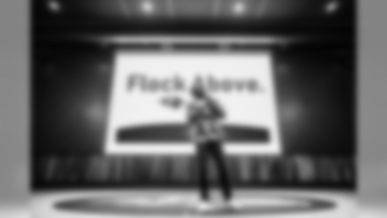 FlockAbovejp0140