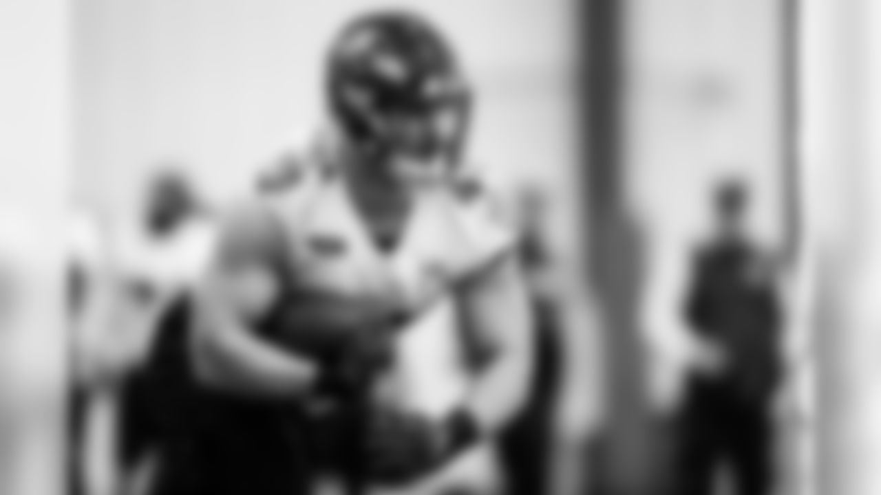 FB/DL Patrick Ricard